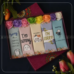 Sorry Chocolate Gift Package Birthday
